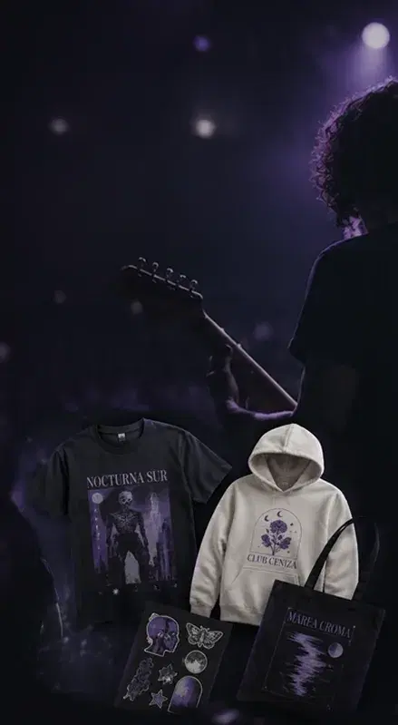 Artist performing live next to their official merchandise