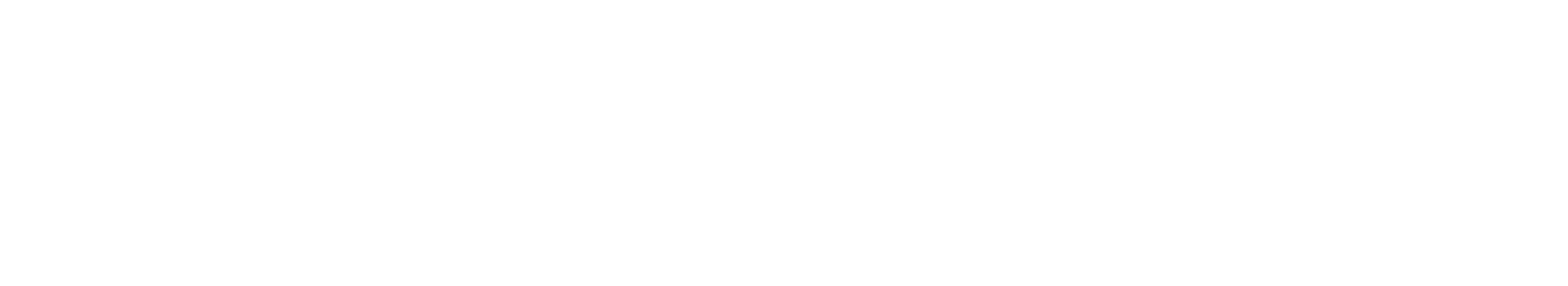 Merchbag